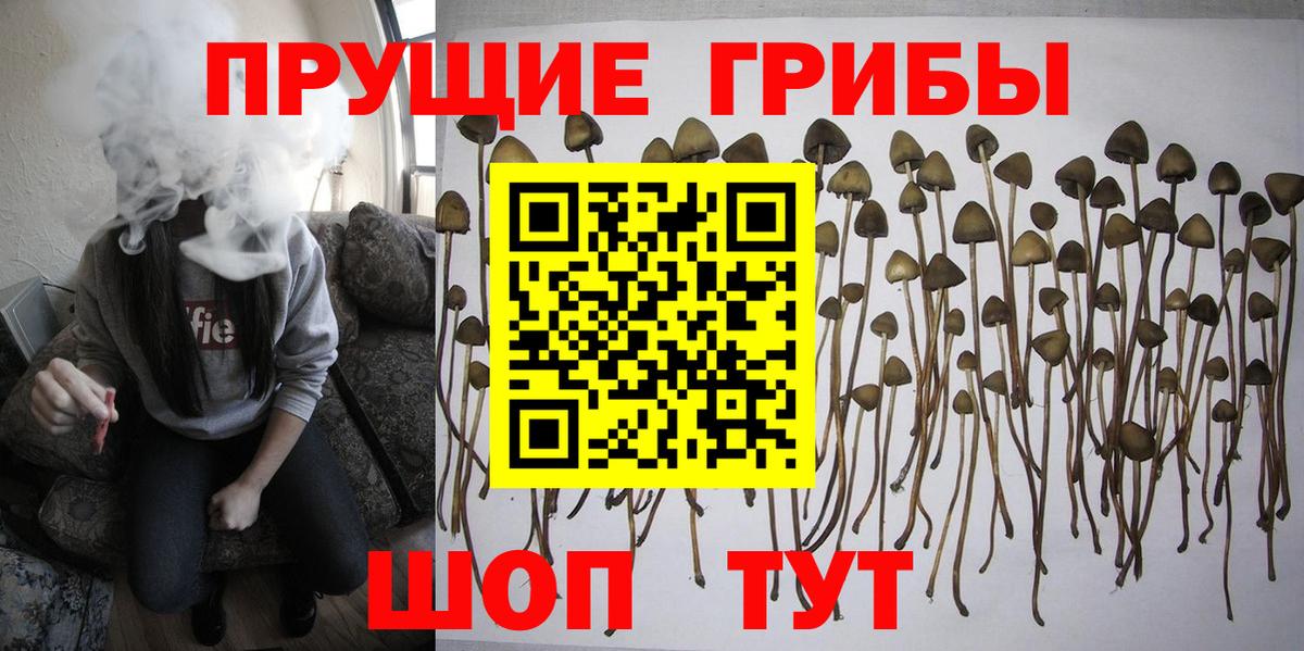 Тельмана  Галлюциногенные грибы ЛСД  Вход с VPN  Галлюциногенные грибы Magic Shrooms 