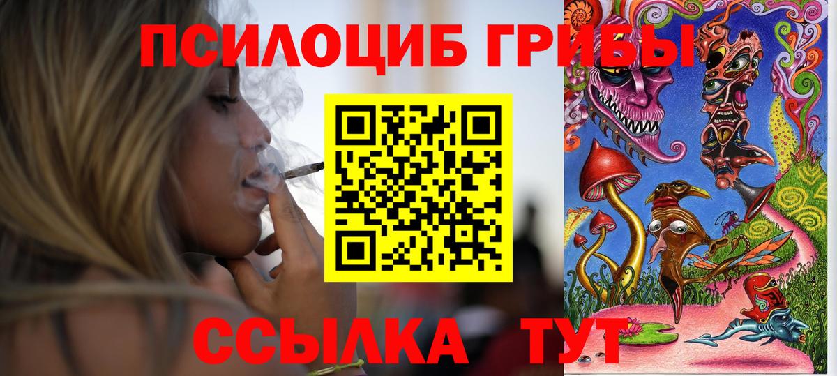 Галлюциногенные грибы прущие грибы Тельмана
